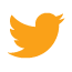 icône twitter orange